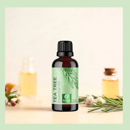 Pure Tea Tree Oil for Skin - 100% Pure Tea Tree Essential Oil for Scalp Care Aromatherapy and Natural Cleaning Solution - Super Potent AAA Non GMO Australian Tea Tree Oil for Hair Skin and Nails